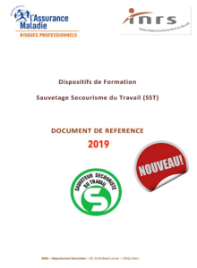 formation, secouriste du travail, sst, prévention, risques